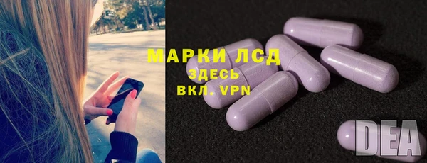 сатива Абинск