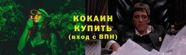 сатива Абинск