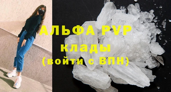 сатива Абинск