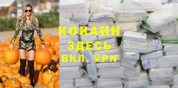 сатива Абинск